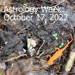 Astrology Week: October 17, 2022