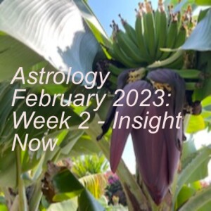 Astrology February 2023: Week 2 - Insight Now