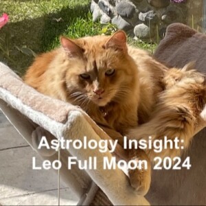 Astrology Insight: Leo Full Moon 2024