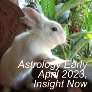 Astrology Early April 2023, Insight Now