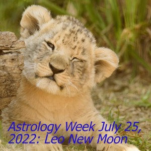 Astrology Week July 25, 2022: Leo New Moon