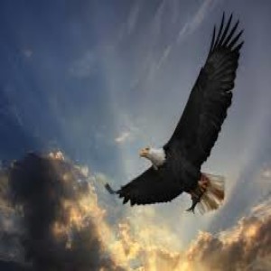 046 How to Soar On Wings Like Eagles (Isaiah 40:31)?