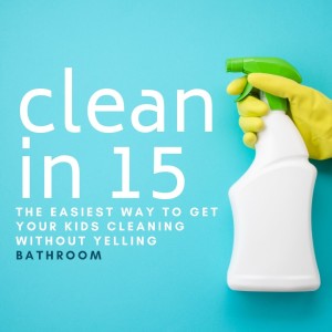 Clean In 15 - Bathroom