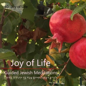 40. Joy of Life