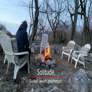 24. A Meditation in Solitude