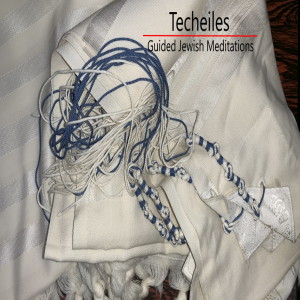 16. Techeiles