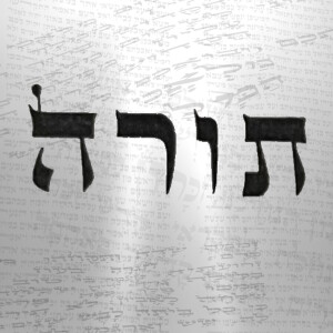 87. Torah