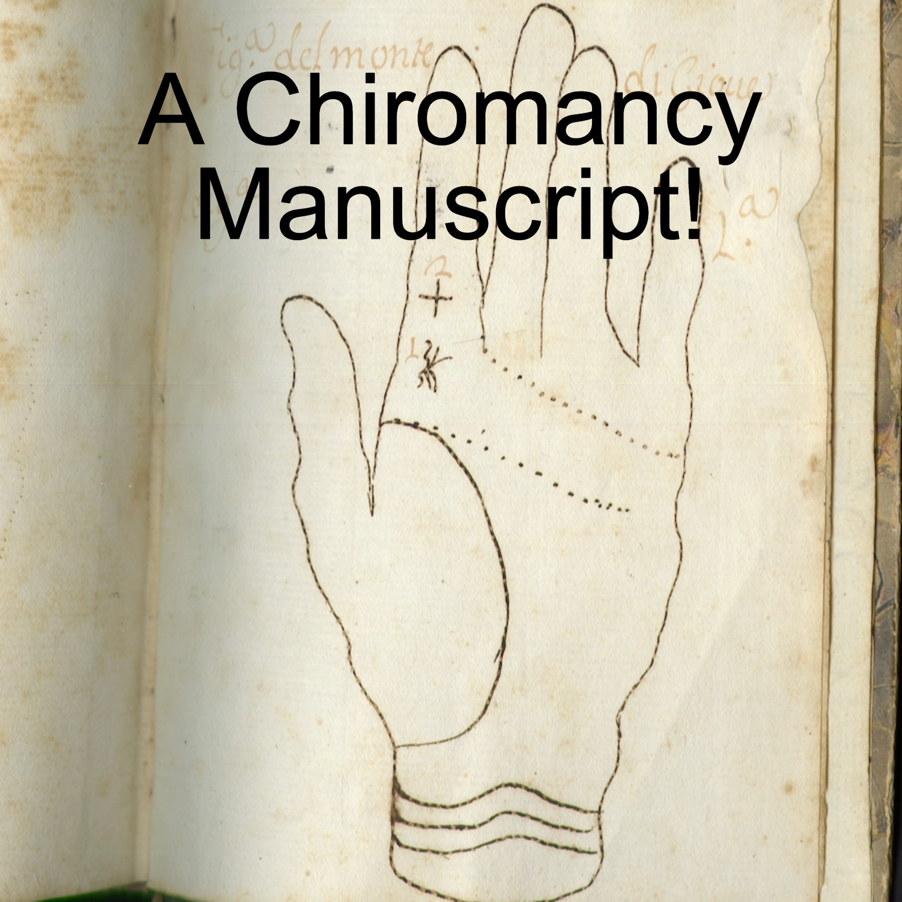 Les Enluminures