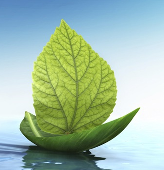 Suffering, Impermanence, & Conditionality: Working With The Three Characteristics of Life