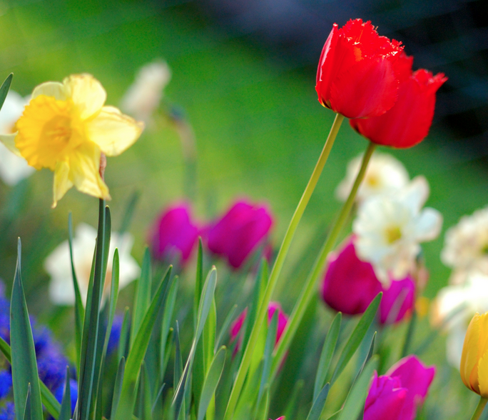Gratitude in April (26.5 minutes)