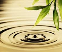 Recollecting Into The Present Moment (26 minutes)