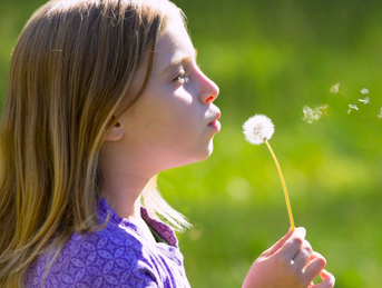 Opening To The Breath & What Is (25 Minutes)