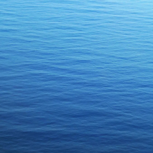 Calming and Loving-Kindness 43 minutes