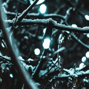 Shining the Light of Appreciative Joy 21 minutes