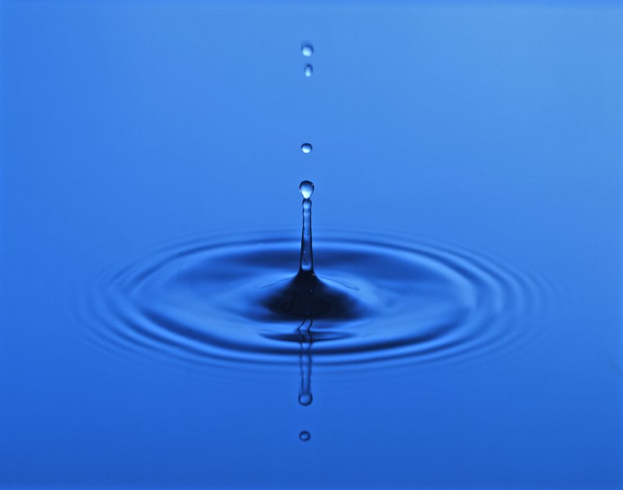 Simply Noticing: Body, Sounds, and Breath