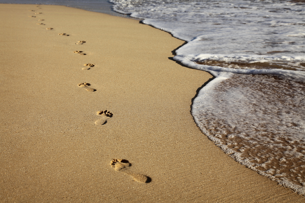 Noticing Impermanence (27 minutes)