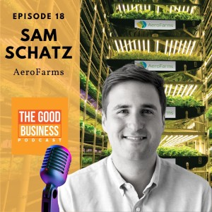 Sam Schatz from AeroFarms, From backstage on Broadway to front stage in the future of Urban Farming