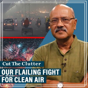 CutTheClutter: Ban crackers, diesel, fix smog towers: How ‘we must do something now’ panic lost fight for clean air