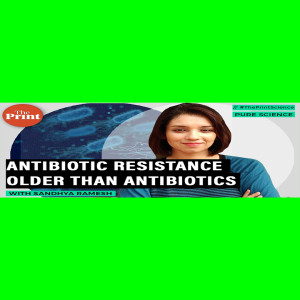 Pure Science: Antimicrobial resistance evolved naturally at least 100 years ago in hedgehogs