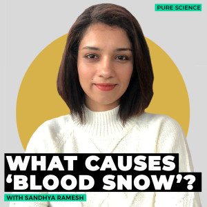 Pure Science: What is ‘watermelon snow’ or ‘glacier blood’ that is appearing in Alps & what causes it?
