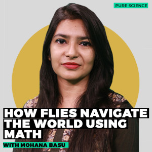 PureScience: How brain cells perform complex math to help flies navigate