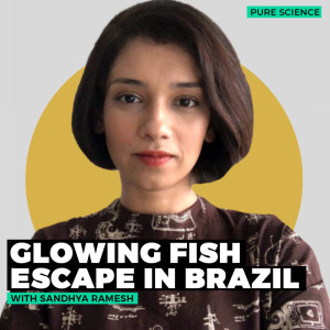 PureScience: Transgenic glowing aquarium fish escape in Brazil