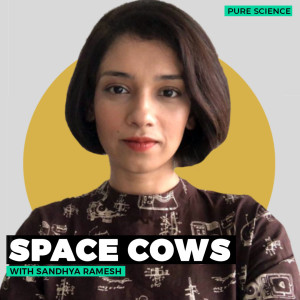 PureScience: Astronomers spot a new and bright “cow” event in space