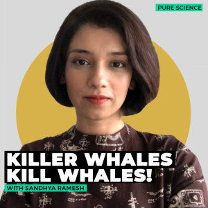 PureScience: Unprecedented first 3 records of killer whales killing and eating blue whales