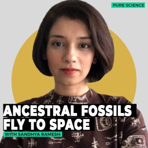 PureScience: Fossils fly to space to much criticism