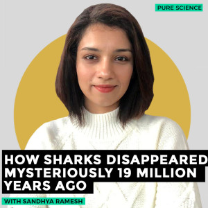 Pure Science: How sharks disappeared mysteriously 19 million years ago