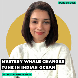 Pure Science: Mysterious Indian Ocean whale is changing its call and we don’t know why