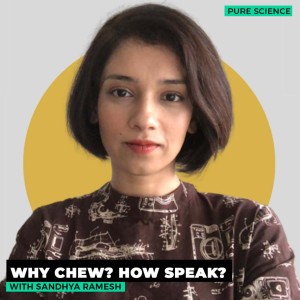 Pure Science: Human evolution: chewing and talking better than other primates