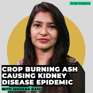 Pure Science: Burning crop waste linked to chronic kidney disease epidemic among farmers