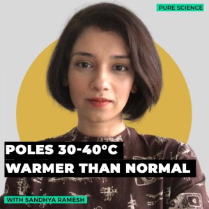 Pure science: Both poles set high temperature records last week, melting simultaneously, alarming scientists