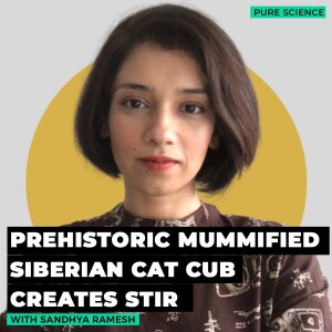 PureSciencePod: Prehistoric mummified Siberian cat cub creates stir: Here's why