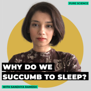 Pure Science : What drives us to sleep and determines when we wake up?