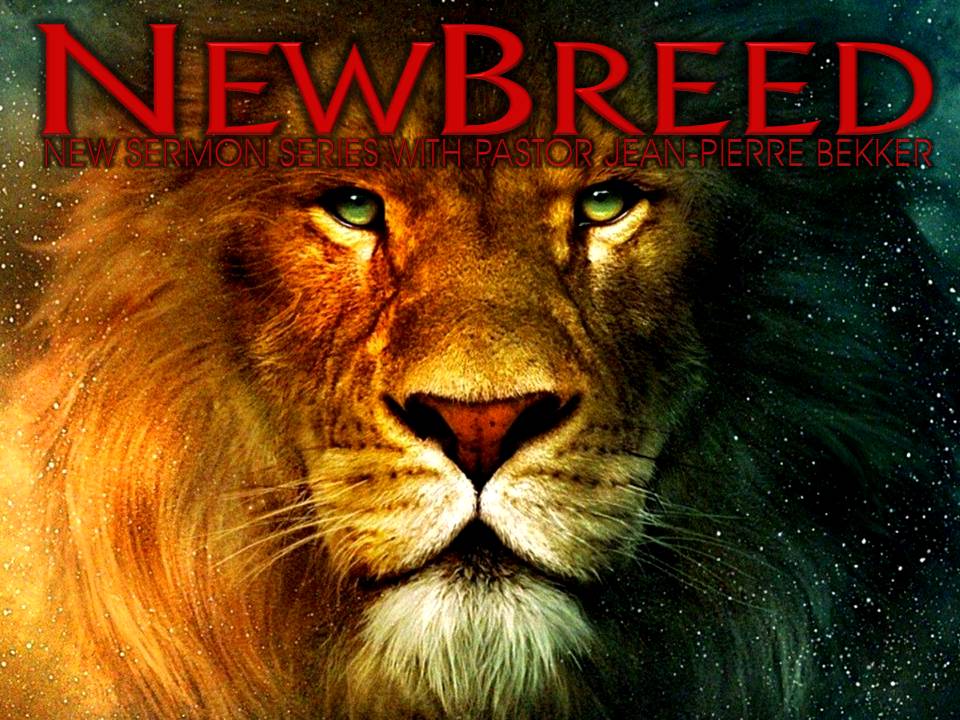 New Breed Part 6