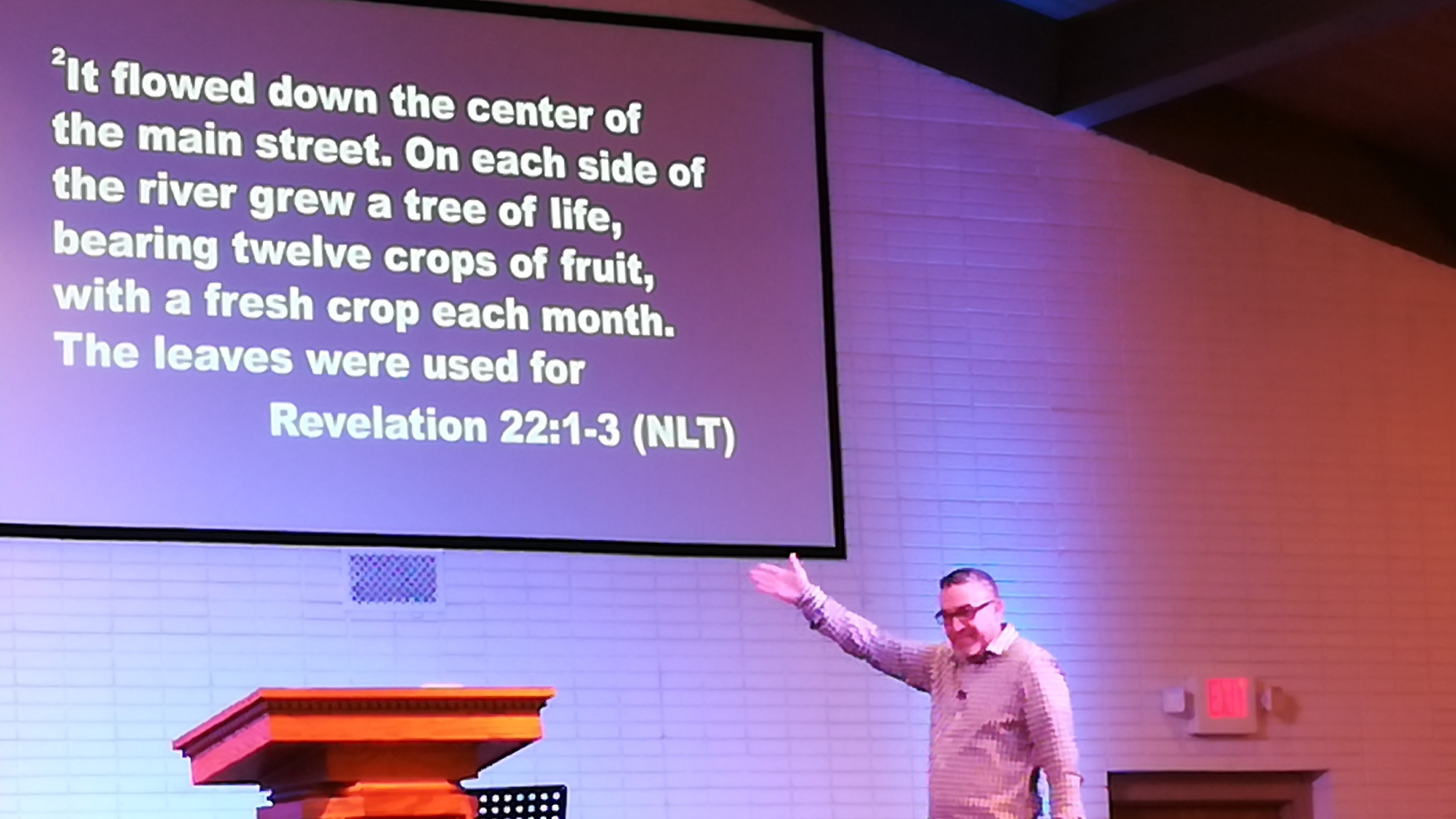 The Tree of Life (Friday rendition)