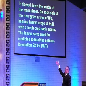 The Tree of Life (Sunday rendition)