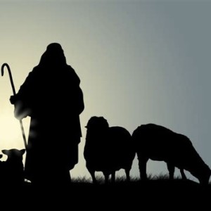 Miért pont pásztor? - Jn 10,11-16 (prédikáció, Húsvét ünnepe utáni 2. vasárnap, 2022.05.01.)