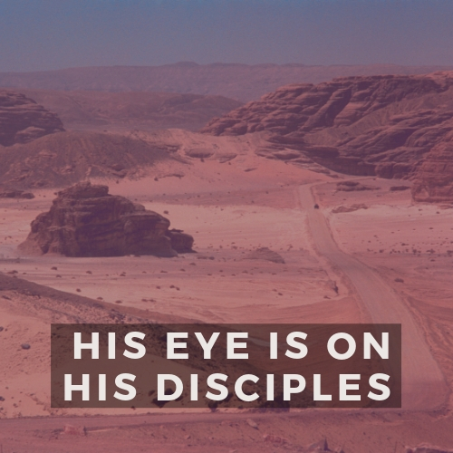 02.17.19 - His Eye is On His Disciples