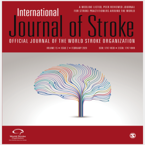 Preceding Infection and Risk of Stroke: An Old Concept Revived by the COVID-19 Pandemic