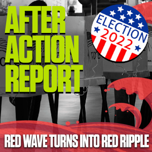 After Action Report: Election 2022 - Red Wave Turns Into a Red Ripple