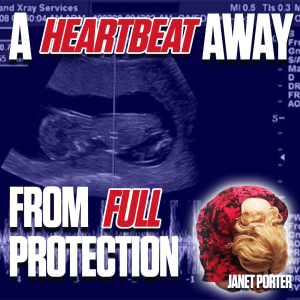 Roe is Dead: Now Let’s End Abortion – Janet Porter