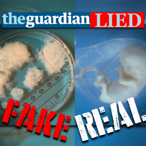 Fake News: How Lying Liars Lie