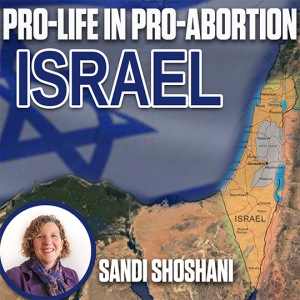 Israel: The Ongoing Holocaust - Sandy Shoshani