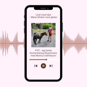 #117 - Jag testar klickerträning tillsammans med Monica Valfridsson
