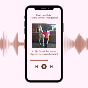#121 - Anneli Eriksson - Olyckan och säkerhetstänk