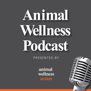 What Humans Can Learn from Animals with Carl Safina--Episode 17