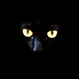 Superstition: Black cats and devils and mirrors, oh my